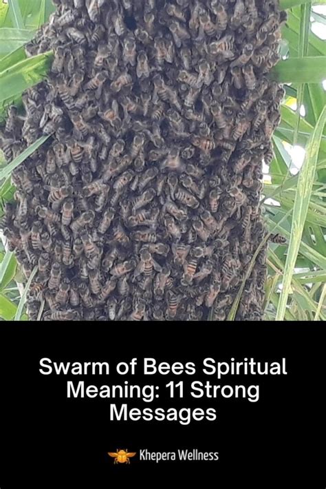 swarm of bees spiritual meaning.